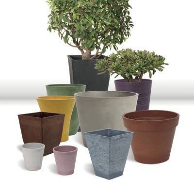 Terralia, solution Marc Verde